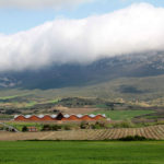 Bodegas Ysios Winery, Laguardia, Spain, Santiago Calatrava