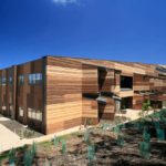 Mornington Centre, Australia, Lyons