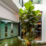 Wajek Walk, Singapore, Aamer Architects