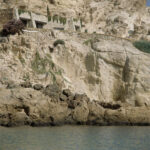 Casa Monjo, Cala Pregonda-Menorca, Spain, BC Estudio Architects