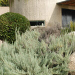 Earth-Sheltered House, Sant Andreu de Llavaneres, Spain, BC Estudio Architects