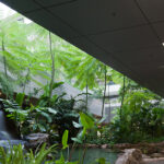 Khoo Teck Puat Hospital, Singapore, RMJM