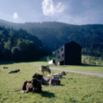 House Stürz, Dalaas, Austria, Gohm Hiessberger Architekten