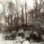 Japanese Garden at the Budapest Zoo, Budapest, Hungary, PLANT - Atelier Peter Kis