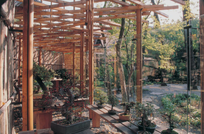 Japanese Garden at the Budapest Zoo, Budapest, Hungary, PLANT - Atelier Peter Kis