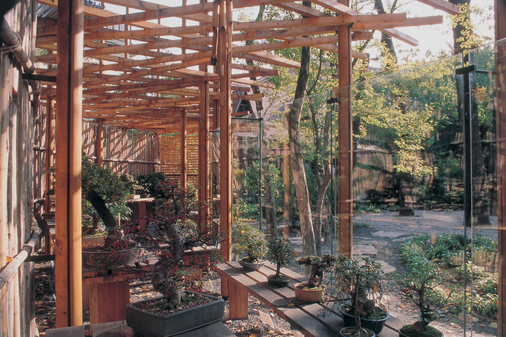 Japanese Garden at the Budapest Zoo, Budapest, Hungary, PLANT - Atelier Peter Kis