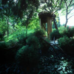 Japanese Garden at the Budapest Zoo, Budapest, Hungary, PLANT - Atelier Peter Kis