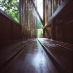 Japanese Garden at the Budapest Zoo, Budapest, Hungary, PLANT - Atelier Peter Kis