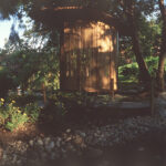 Japanese Garden at the Budapest Zoo, Budapest, Hungary, PLANT - Atelier Peter Kis