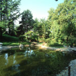 Japanese Garden at the Budapest Zoo, Budapest, Hungary, PLANT - Atelier Peter Kis