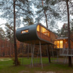 The Treehouse, Hechtel-Eksel, Belgium, Baumraum