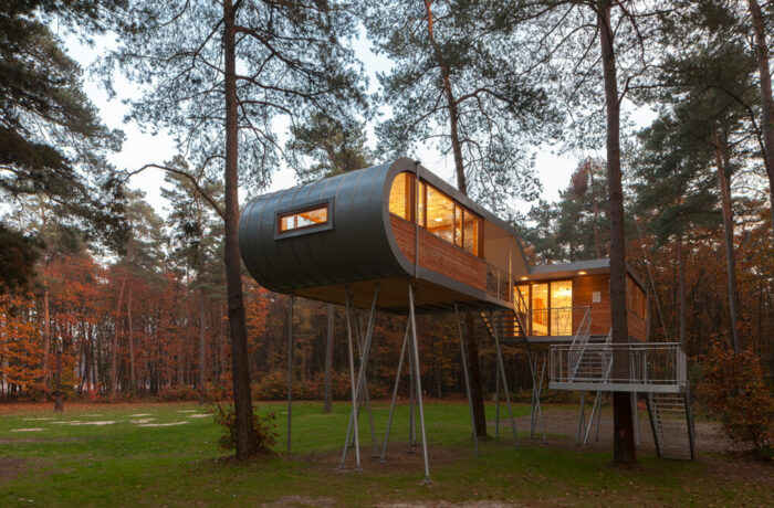 The Treehouse, Hechtel-Eksel, Belgium, Baumraum