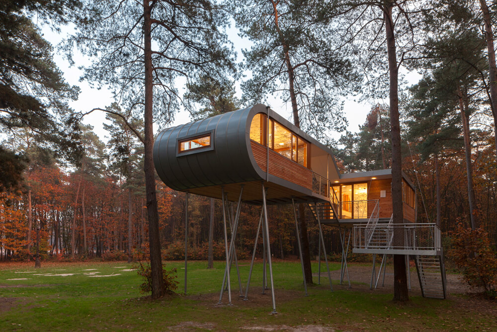 The Treehouse, Hechtel-Eksel, Belgium, Baumraum