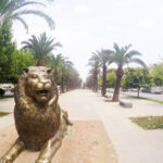 A Weekend in Fez
