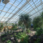 Greenhouse in the Botanic Garden, Aarhus, Denmark, C.F. Møller Architects