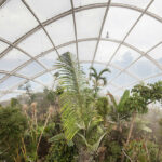 Greenhouse in the Botanic Garden, Aarhus, Denmark, C.F. Møller Architects