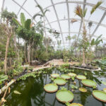 Greenhouse in the Botanic Garden, Aarhus, Denmark, C.F. Møller Architects