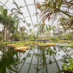 Greenhouse in the Botanic Garden, Aarhus, Denmark, C.F. Møller Architects