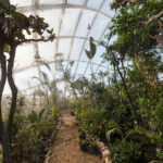 Greenhouse in the Botanic Garden, Aarhus, Denmark, C.F. Møller Architects