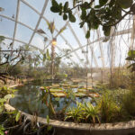 Greenhouse in the Botanic Garden, Aarhus, Denmark, C.F. Møller Architects