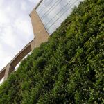 The University of Aarhus, Aarhus, Denmark, C.F. Møller Architects