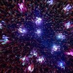 INFINIT - Wellness in Magical Garden, Senohraby, Czech Republic, Studio Reaktor