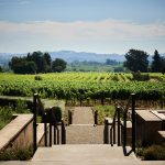 House of Flowers, Healdsburg-California, United States, Walker Warner Architects