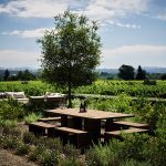 House of Flowers, Healdsburg-California, United States, Walker Warner Architects