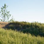 Washington Fruit & Produce Co. Headquarters, Yakima, Washington, Graham Baba Architects