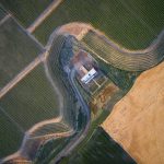 Alton Wines, Walla Walla-Washington, United States, GO'C