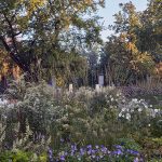 Revitalisation of Husův Park in Prague – SUPERPOWER WALL, Czech Republic, S K U L L studio