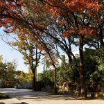 Ahn Jung-geun Memorial Hall, Seoul, South Korea, D.LIM Architects