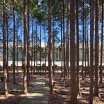 CJ Nine Bridges "The Forum", Seogwipo, South Korea, D.LIM Architects
